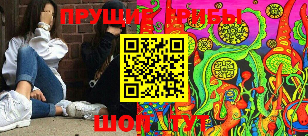 Галлюциногенные грибы GOLDEN TEACHER Гатчина